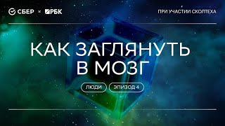 «Теория всего. Люди»: Как заглянуть в мозг