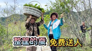 山里养的蚕树叶不够吃，无奈只能舍弃一些，整筐的蚕都免费送人