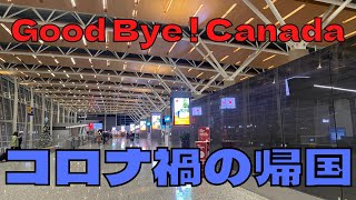 【日本帰国】Good  Bye  Canada！コロナ禍の日本帰国の際にするべきこと