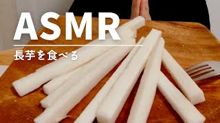 【ASMR 咀嚼音】野菜(長芋)を食べる  chinese yam vegetable【Eating sounds】