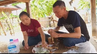 #ปิ้งไก่ตำหมากหุ่งกินเข้าบ่ายอยู่เฮือนใหม่.《》ປິ້ງໄກ່ໃຫຍ່ຕຳໝາກຫຸ່ງກິນເຂົ້າບ່າຍຢູ່ເຮືອນໃຫມ່ເຮົາ