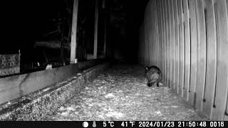 First wildlife cam footage - Eerste wildcam beelden