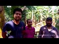 കരിഞ്ഞുണങ്ങി കാര്‍ഷിക സ്വപ്നങ്ങള്‍ tcv mala