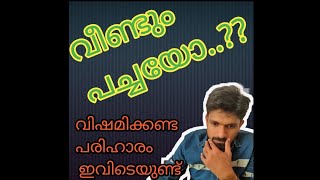 കൂൺ തടത്തിൽ ഉണ്ടാകുന്ന പച്ച നിറം എന്താണ്..??  എങ്ങനെ പരിഹരിക്കാം..