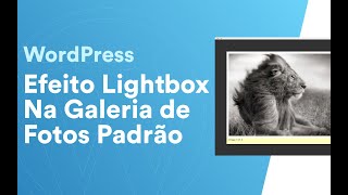 Galeria Com Efeito Lightbox Nas Imagens Do Site Com WP Featherlight - WordPress