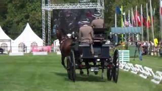 WPDC CONTY 2011 - DRESSAGE - Carola DIENER - Ger