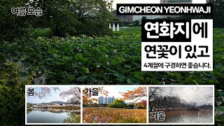 [연화지] 연화지에 연꽃이 있고 4계절에 구경하면 좋습니다. ㅣ GIMCHEON YEONHWAJI