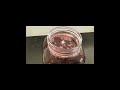 grapes vinegar making at home