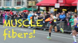 Muscle Fiber Types in Distance Running: Neuromuscular Training for Economy | Sage Running