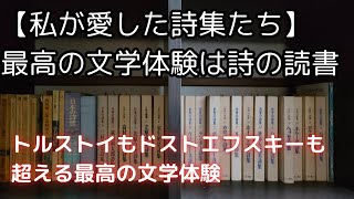 【私が愛した詩集たち】最高の文学体験は詩の読書｜トルストイもドストエフスキーもトーマス・マンも超える文学体験