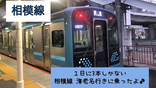 【相模線】1日に3本しか走らない相模線 海老名行きに乗ったよ　#子鉄 #電車大好き  #乗り鉄