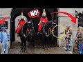 Brilliant King’s Guard Doesn’t Allow this Lady to Touch the Horse! Tells off man OUT OF THE BOX!