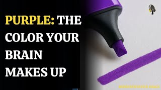 Why Purple Isn't Real—But Your Brain Sees It | WION Podcast