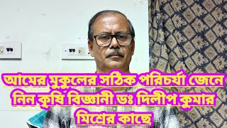 আমের মুকুলের সঠিক পরিচর্যা জেনে নিন কৃষি বিজ্ঞানী ডঃ দিলিপ কুমার মিশ্রের কাছে||Mango Bud Care||