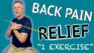 Best Back Pain Relief Exercise - 1 Exercise for Lower Back Pain