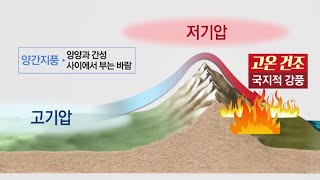 악명높은 '양간지풍'...강원도 대형산불의 주범 / YTN