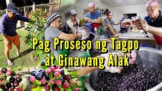 Paano Gumawa ng Wine - Bunga ng Tagpo Ginawang Alak