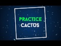 Intro - PracticeCactus