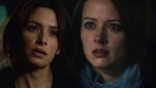 Root & Shaw | Saturn