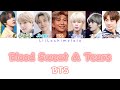 BTS “Blood Sweat & Tears” Colour Coded Lyrics (Romanized)