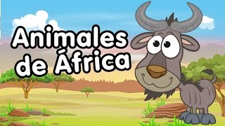 Animales de áfrica - Canciones Infantiles - Doremila