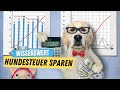 SO einfach sparst du bares GELD bei der Hundesteuer ✅