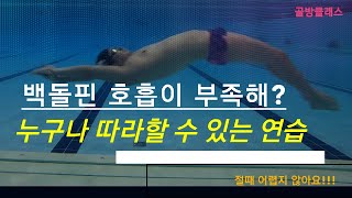 배영 잠영 《백돌핀》_ 호흡이 부족하신 분들을 위한 {{ 2가지 }} 연습방법