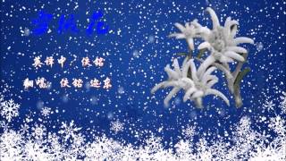 《雪绒花》 佚铭/迩东