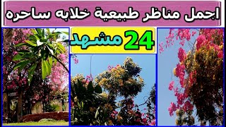 اجمل المناظر الطبيعيه الساحره - تقرير مصور من 24 مشهد حصري