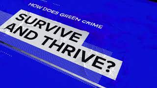 Green Crime: The Hidden Threat | A Refinitiv Data Moment