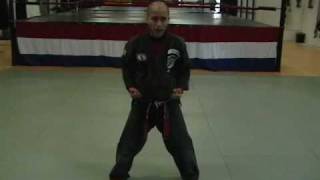 CASA DE KENPO - AMERICAN KENPO - STRIKING SET 1