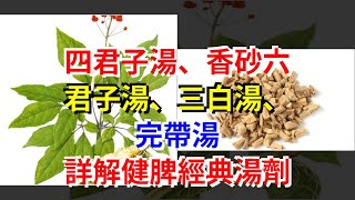 四君子湯、香砂六君子湯、三白湯、完帶湯，詳解健脾經典湯劑