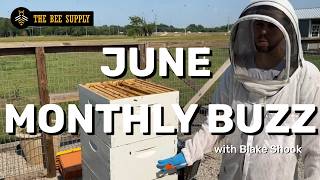 June Monthly Buzz Webinar 2026