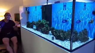 Red Sea REEFER 750 XXL. It's all gone WRONG AGAIN ! And another tank in the house!