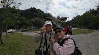 2025元旦桃園大溪月眉人工溼地落羽松美景4K