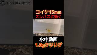 コイケ13mm水中動画クリリグ1.8gスレバスに効く動き