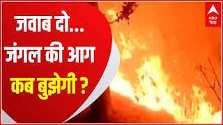 The forests of Uttarakhand are burning, what is the answer to the High Court's question? , Uttarakhand Prime