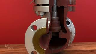 What is a Globe Valve