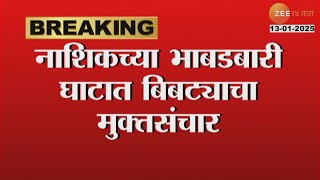 Nasik | नाशिकच्या भाबडबारी घाटात बिबट्याचा मुक्तसंचार; बिबट्याचा मुक्तसंचार मोबाईल कॅमेरात चित्रित