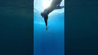 Une nage avec les baleines devant Saint-Pierre, Réunion