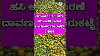 ಹಸಿ ಅಡಕೆ ಬೆಲೆ ದಾವಣಗೆರೆ ಮಾರುಕಟ್ಟೆಯಲ್ಲಿ/18/10/2024