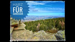 TOP Harz Tour - Die Wolfswarte mit GPS Tour Daten