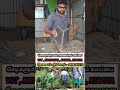 விவசாயிகளுக்கு ஒரு சந்தோஷமான செய்தி power tiller attachment vst power tiller attachment