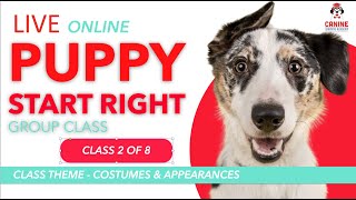 Canine Learning Academy Live Online Puppy Start Right Group Class (2 of 8)