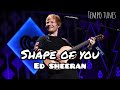 Ed Sheeran - Shape of You (Official Music Video) | Tempo Tunes