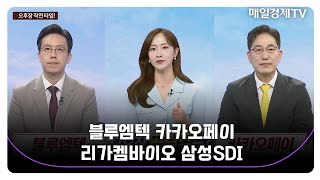 [오후장 작전타임!] 블루엠텍 카카오페이 리가켐바이오 삼성SDI_MBN골드 조기준 매니저 / 김흥태 매니저