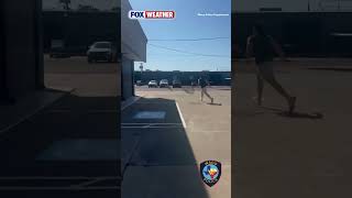 The Waco Police Department Wrangle Escaped Kangaroo