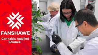 Exploring a Graduate Program in Cannabis Applied Science