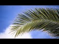 Relaxing Humming Background Nasheed