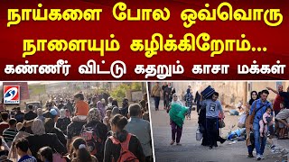 நாய்களை போல ஒவ்வொரு நாளையும் கழிக்கிறோம்     கண்ணீர் விட்டு கதறும் காசா மக்கள் | Sathiyam Tv